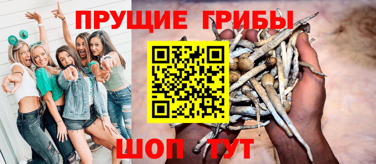 Псилоцибиновые грибы Psilocybine cubensis  Вход с VPN  Нарткала 